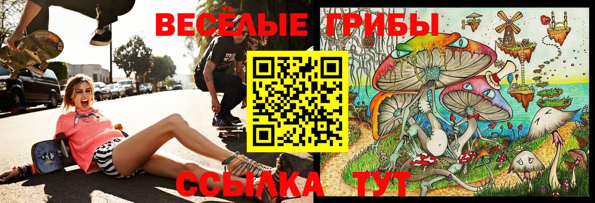 Галлюциногенные грибы мухоморы  Вход с VPN  Мценск 