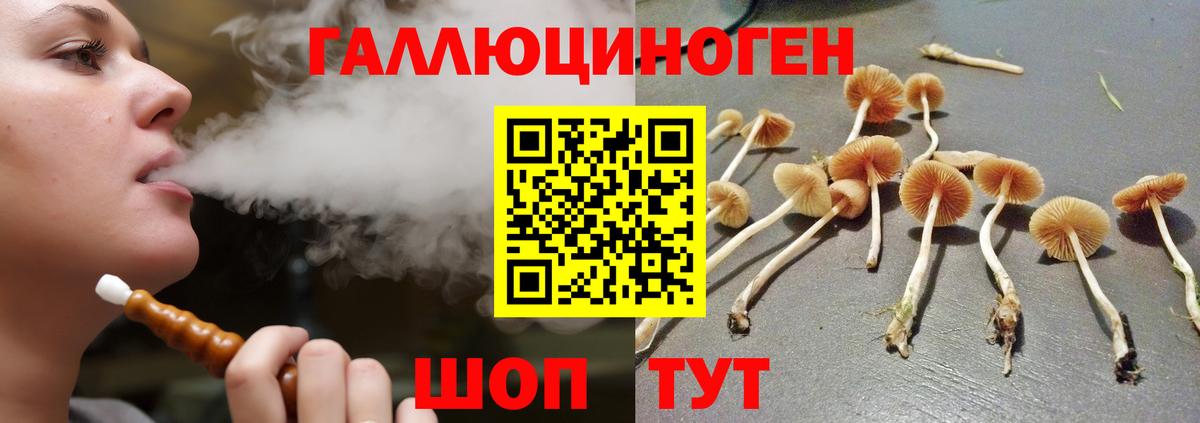 Псилоцибиновые грибы мухоморы Мценск